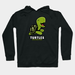 Turtles: Zen masters Hoodie